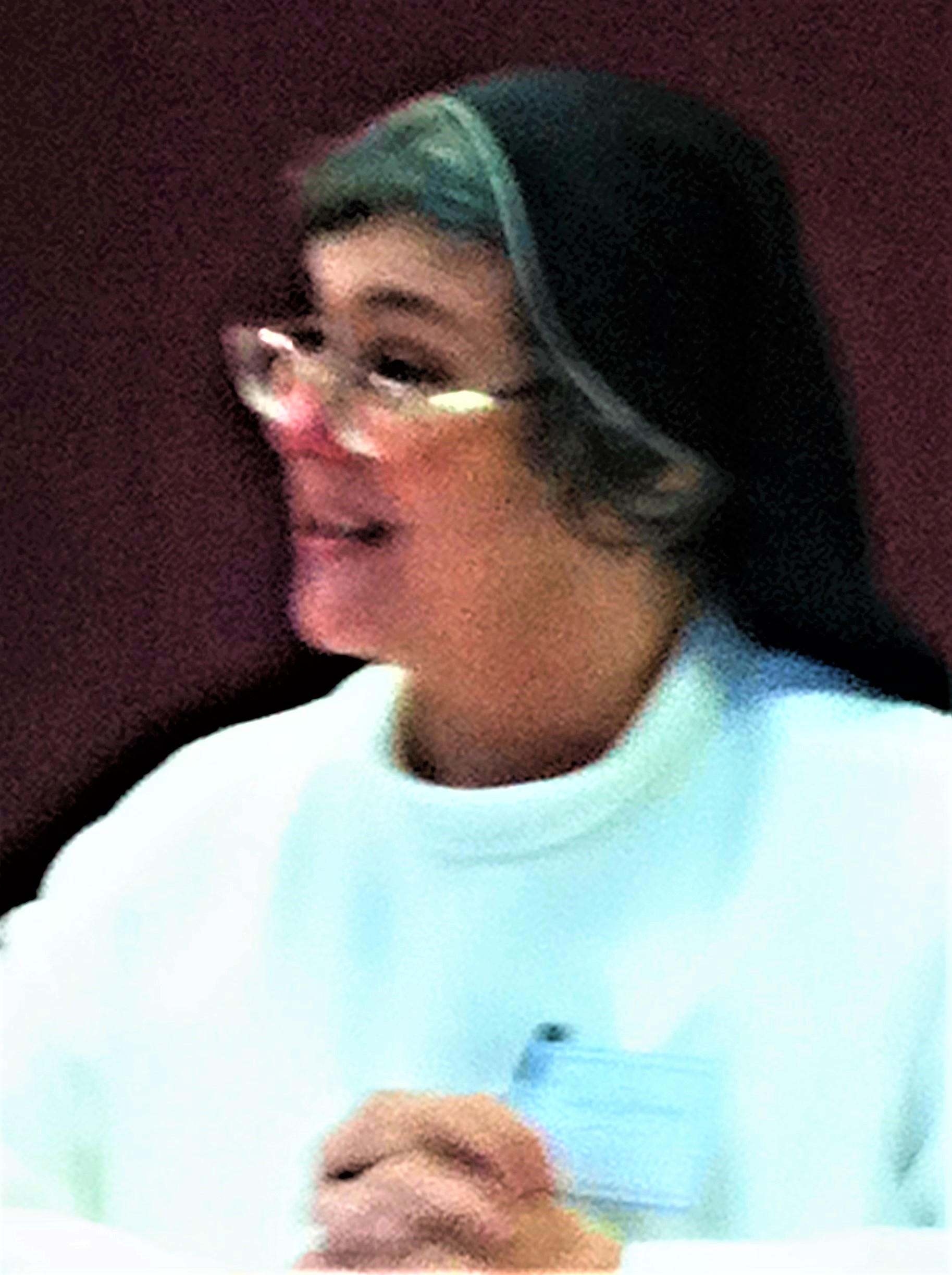 Sr Ann Catherine preaching at the Dominican Seminar Sr Ann Catherine preaching at the Dominican Seminar